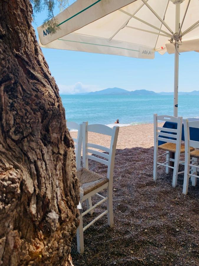 Villa ,,Sea Breeze,, - Home By The Sea Néa Ankhíalos エクステリア 写真